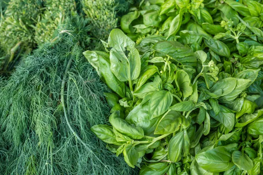 Herbs