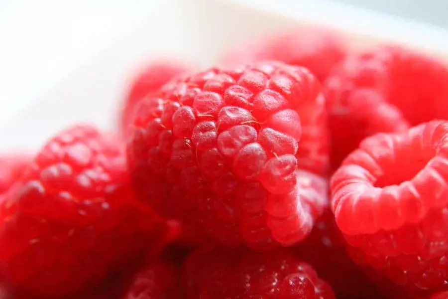Raspberries